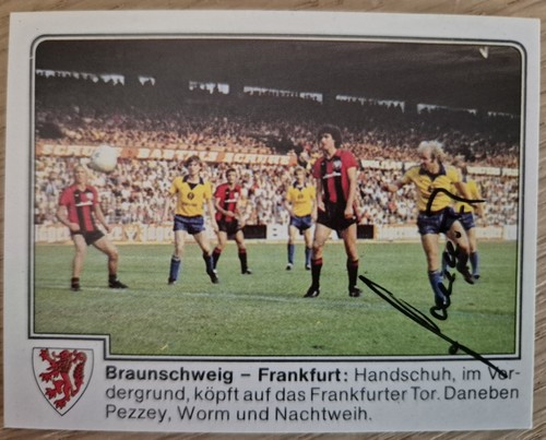 Handschuh eintracht - handschuh,